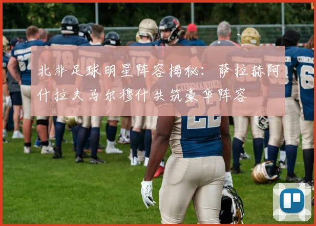 北非足球明星阵容揭秘：萨拉赫阿什拉夫马尔穆什共筑豪华阵容
