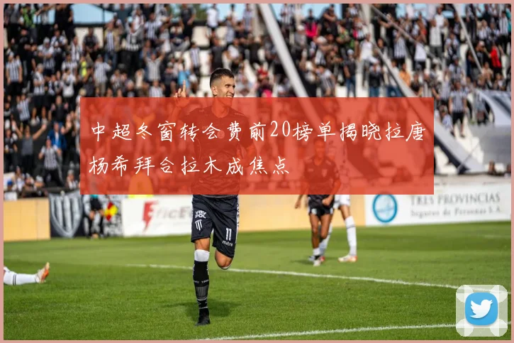 中超冬窗转会费前20榜单揭晓拉唐杨希拜合拉木成焦点