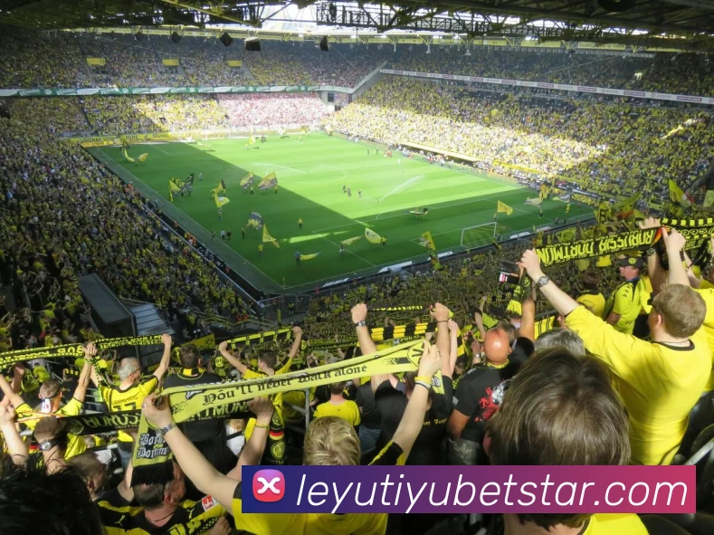 乐鱼体育APP 封面图