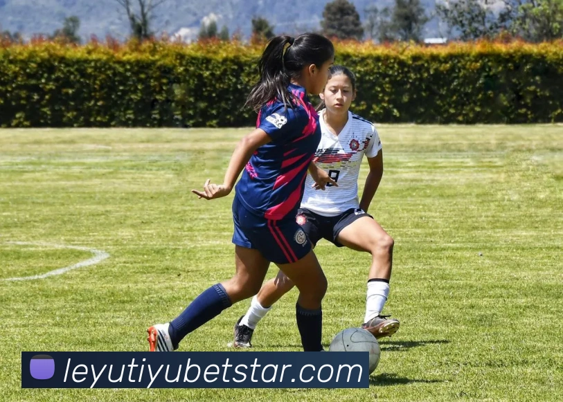 数据防护可视化